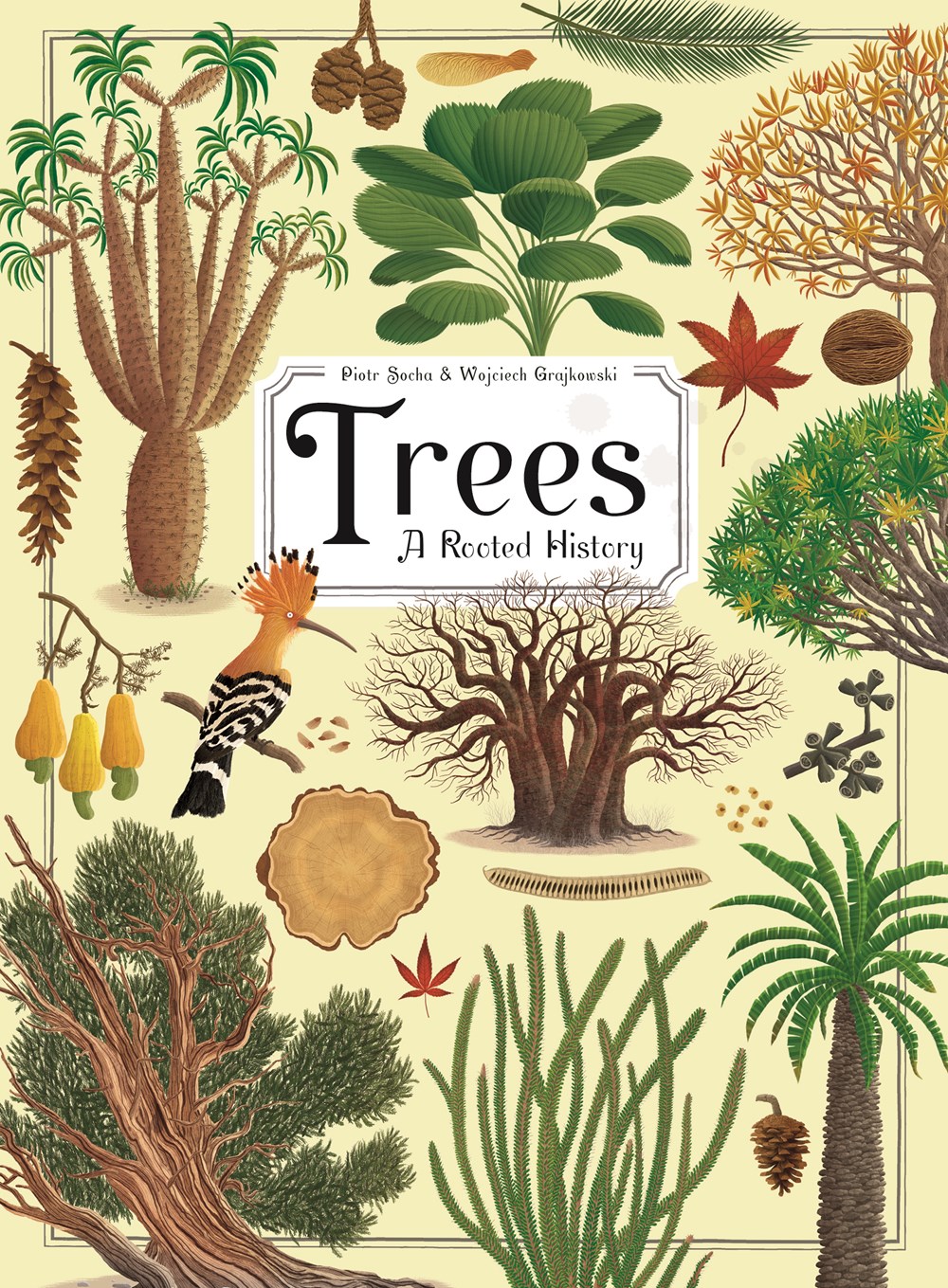 Out Today! Trees: A Rooted History by Piotr Socha and Wojciech
Grajkowski